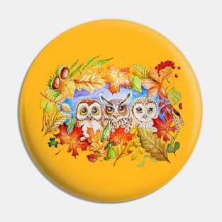 Autumn owls Pin