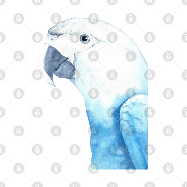 Spix&#39;s macaw watercolor portrait by Oranjade0122