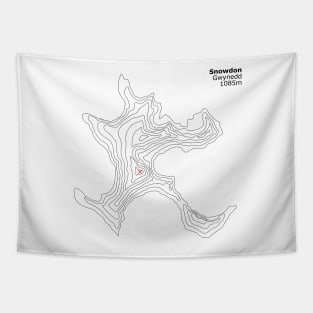 Snowdon Mountain Contour Small Tapestry