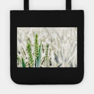 Wheat Fields Tote