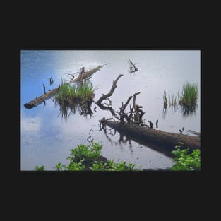 Water Scene with Dead Logs T-Shirt