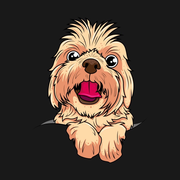 Cute Yorkshire Terrier Face by ReaBelle