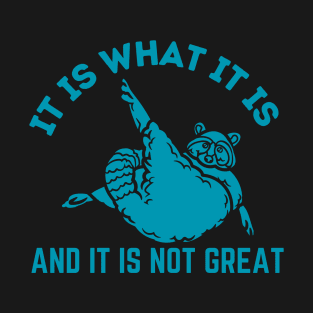 It Is What It Is And It Is Not Great T-Shirt