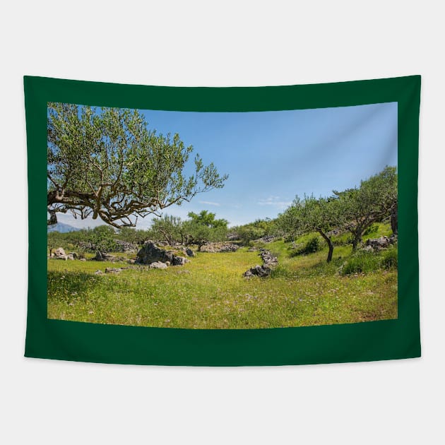 Landscape Near Nerezisca, Brac Island, Croatia Tapestry by jojobob