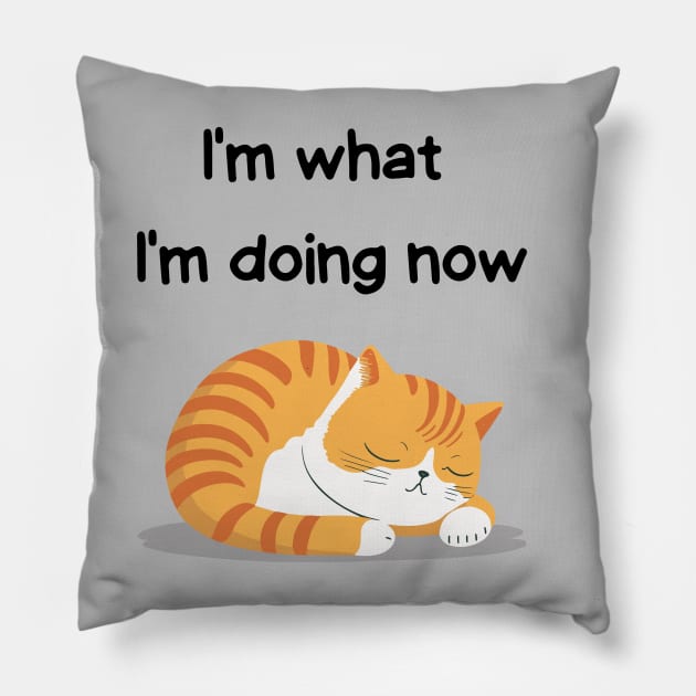 Sleeping Affirmation Cat - I'm what I'm doing now | Cat Lover Gift | Law of Attraction | Positive Affirmation | Self Love Pillow by JGodvliet