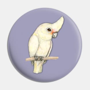 Goffin' s cockatoo Pin