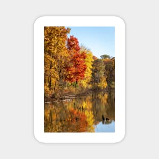 Autumn Glow in Moraine State Park of Pennsylvania Magnet