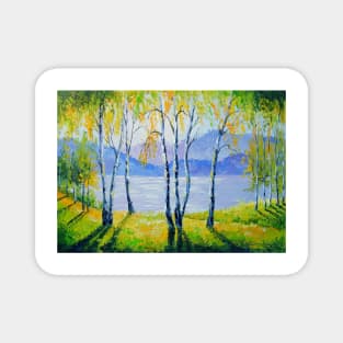 Birch trees by the river Magnet