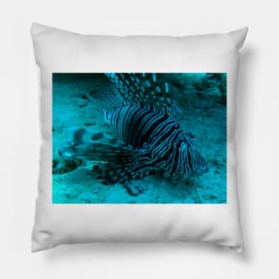 lionfish Pillow