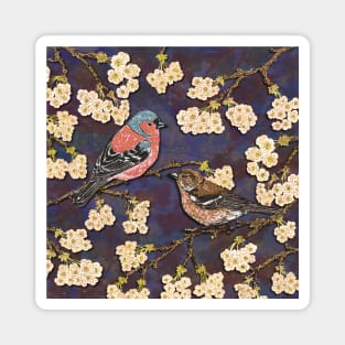 Chaffinches in Cherry Blossom Magnet