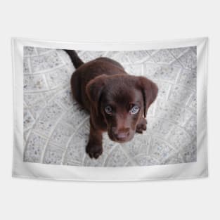 Labrador Retriever chocolate puppy Tapestry