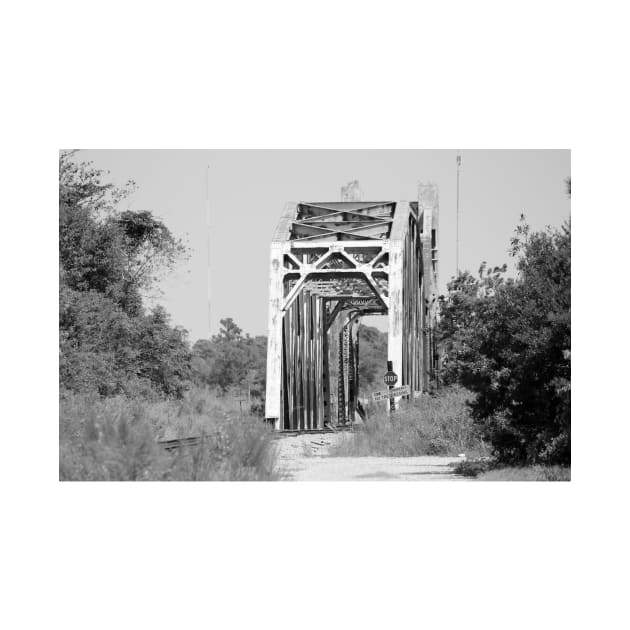 Old Railroad Bridge by Cynthia48