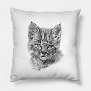 BOBCAT KITTEN - Big Cat Cubs Pillow