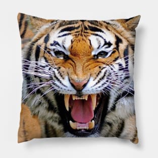 Tiger Mask Pillow