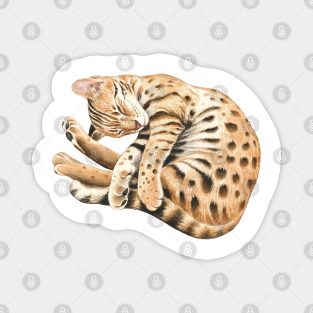 Bengal Kitten Napping Watercolor Art Magnet by Seven Sirens Studios