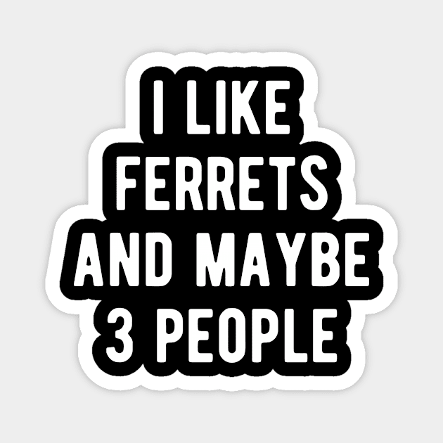 Ferrets Funny Saying Pet Lover Magnet by BlueTodyArt