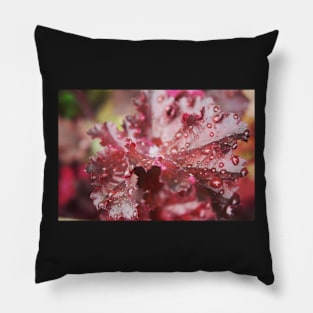 Ruby Red Heuchera Pillow