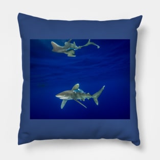 Cruising Oceanic White Tip And Surface Reflection Pillow
