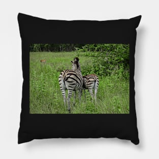 Zebra stripes Pillow