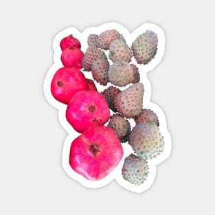 Pomegranate Tropical Fruit Magnet