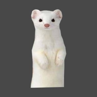 Cute White Ferret T-Shirt