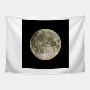 Full Moon (R340/0657) Tapestry