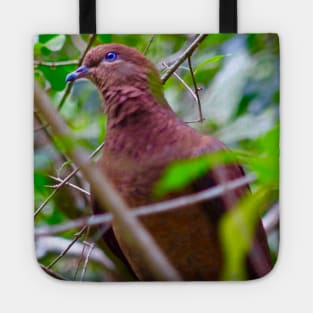 The Brown Cuckoo Dove Tote