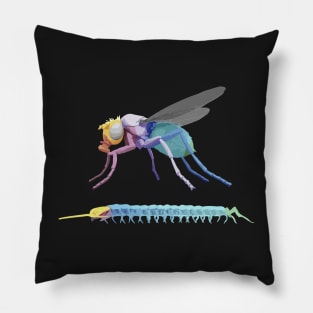 Copy of Evolution Hox Genes Similarities Housefly and centipede Pillow