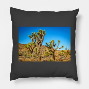 Joshua Tree National Park, California Pillow