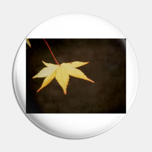 A Leaf at Sunset Pin