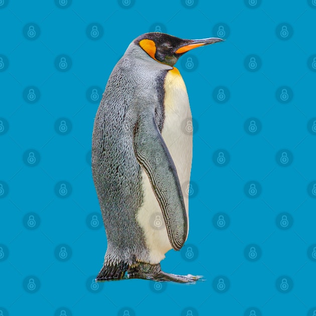 Penguin by dalyndigaital2@gmail.com