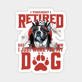 I Thought I Retired but Now I just work for my Dog Magnet