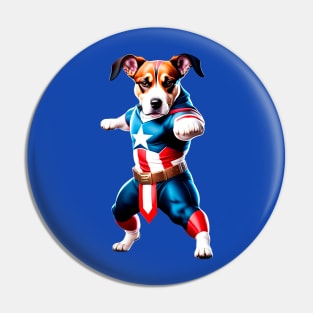 American Dog Doing kung Fu Pin