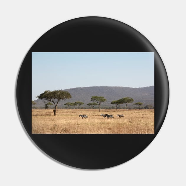 Plains Zebra, in the landscape, Serengeti National Park, Tanzania Pin by Carole-Anne