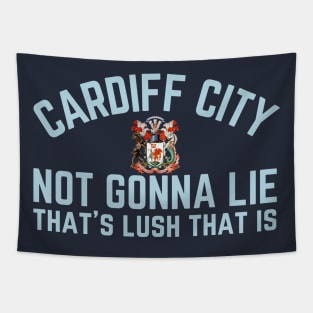 Cardiff City, That's Lush that is Tapestry