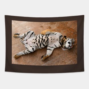 Sleeping Tiger Cub, Thailand Tapestry