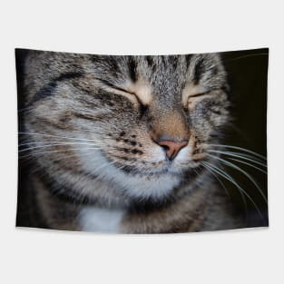 smiling cat Tapestry