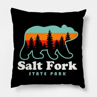 Salt Fork State Park Ohio Bear Retro Sunset Pillow