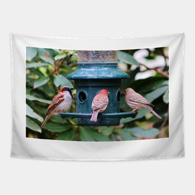 Three Bird Friends Tapestry by Cynthia48