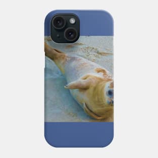 Seal of approval Phone Case