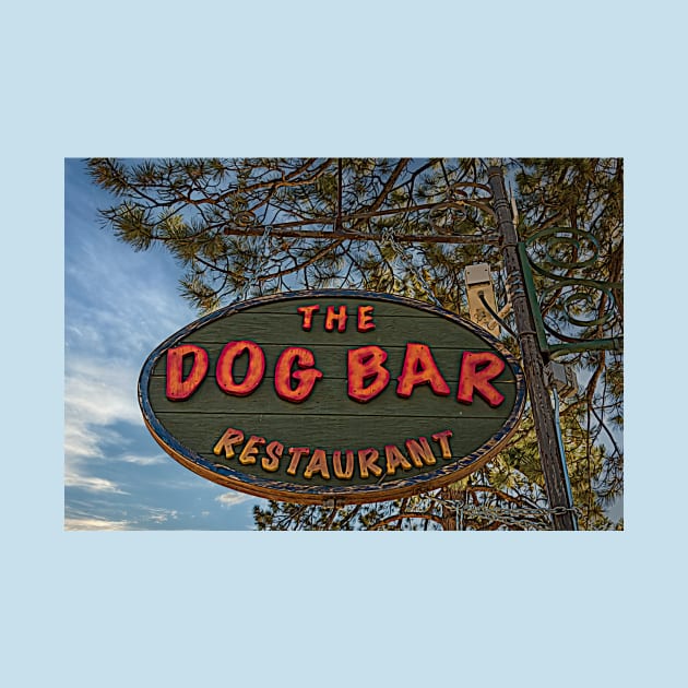 The Dog Bar Cuchara Colorado by Debra Martz by Debra Martz