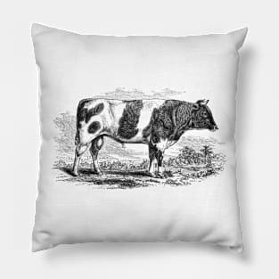 Bull Illustration Pillow