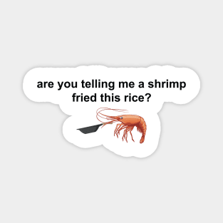 Are you telling me a shrimp fried this rice Magnet