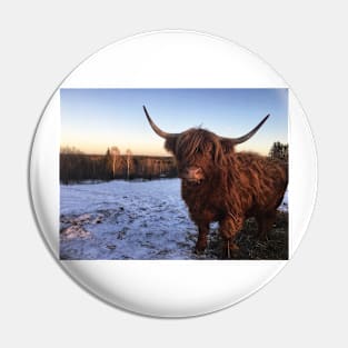 Scottish Highland Cattle Cow 2233 Pin