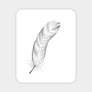 Black and White Feather Magnet