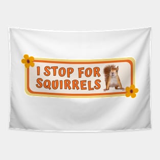 I Stop for Squirrels, Cute Squirrel Bumper Tapestry