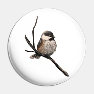 Chickadee Graphic Pin