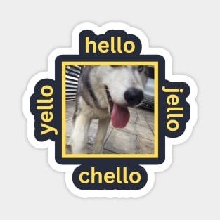 Husky Closeup Yellow Hello Jello Chello Magnet