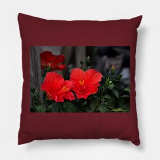 Hibiscus Relations Pillow