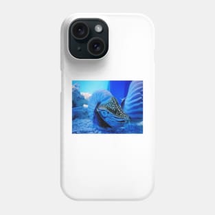 chambered nautilus, nautilidae, mollusk, nautilus, nautilus pompilius, nautilus shell, ammonite, ammonoidea, ammonites, mollusca, molluscs, shell, cephalopod, nudibranch, nudibranch Phone Case